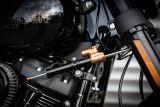 Lenkungsd�mpfer Softail CSC_