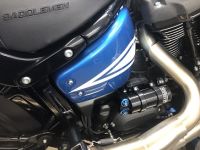 Mono Sto�d�mpfer Pro Variante f�r alle Softails ab Baujahr 2018 bis 2024